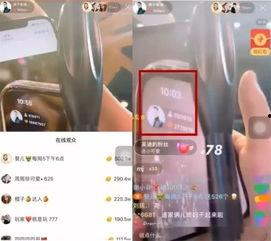 吴迪爆料仙家视频大全最新,仙家视频大全最新爆料，带你一探究竟  第1张