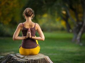 绿媒爆料韩国瑜伽视频,韩国瑜伽视频背后的惊人真相 第3张 绿媒爆料韩国瑜伽视频,韩国瑜伽视频背后的惊人真相 第3张